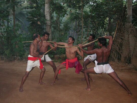 India. Kalari Payatu. The wrestlers of Trivandrum (Kerala). 2011